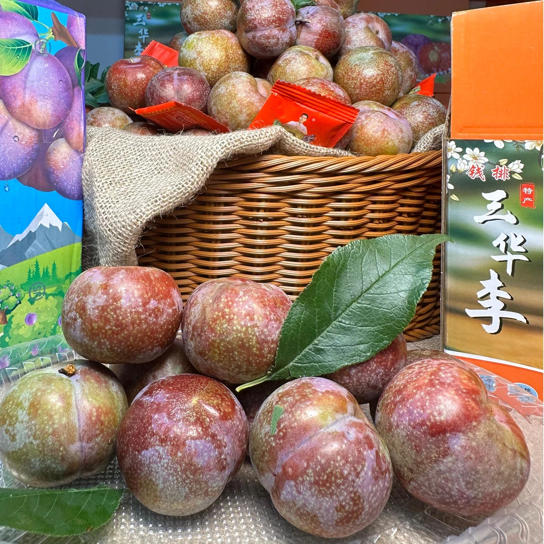 钱排银妃三华李中大特大果红肉李子新鲜采摘产地直发三华李大果