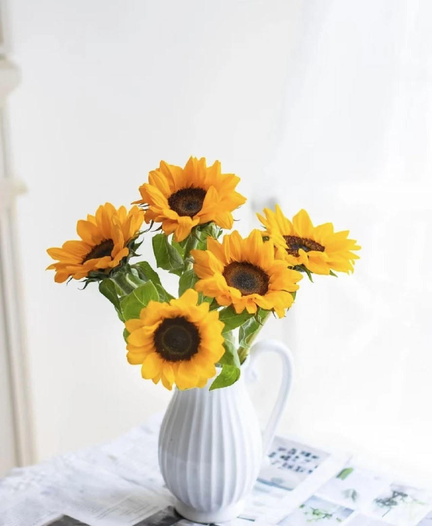 向日葵15支 此单普通快递