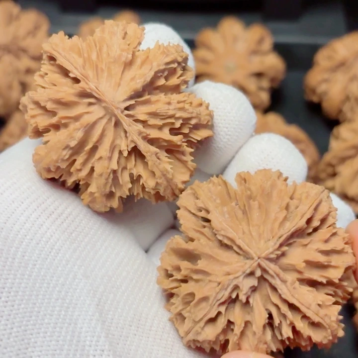 用***7文玩核桃吊坠秦岭灯笼15