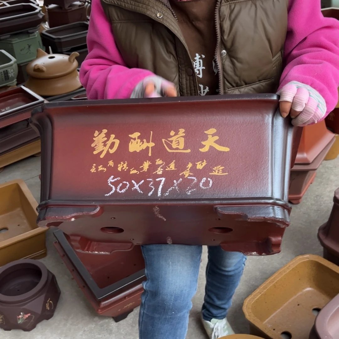 紫砂花盆盆景艺术