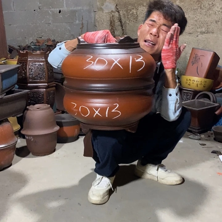 紫砂紫砂紫砂紫砂