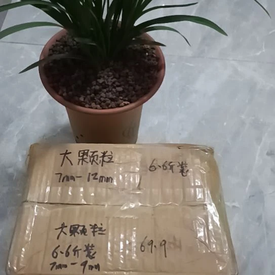 靖***者兰菌颗粒大颗粒6.6斤