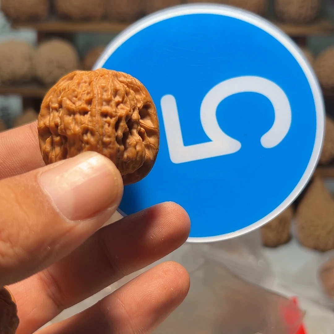 楼***。文玩核桃，蓝色005号