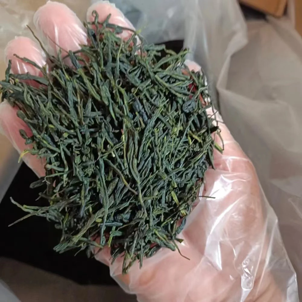 湖北红安绿茶新茶春茶雨前茶清仓耐泡清香提神醒脑