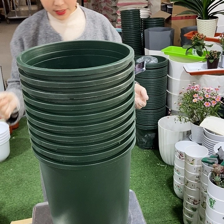 高5加仑口27高29无托10只