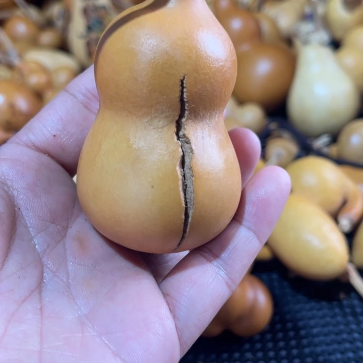 云*葫芦哈哈哈哈哈哈哈哈