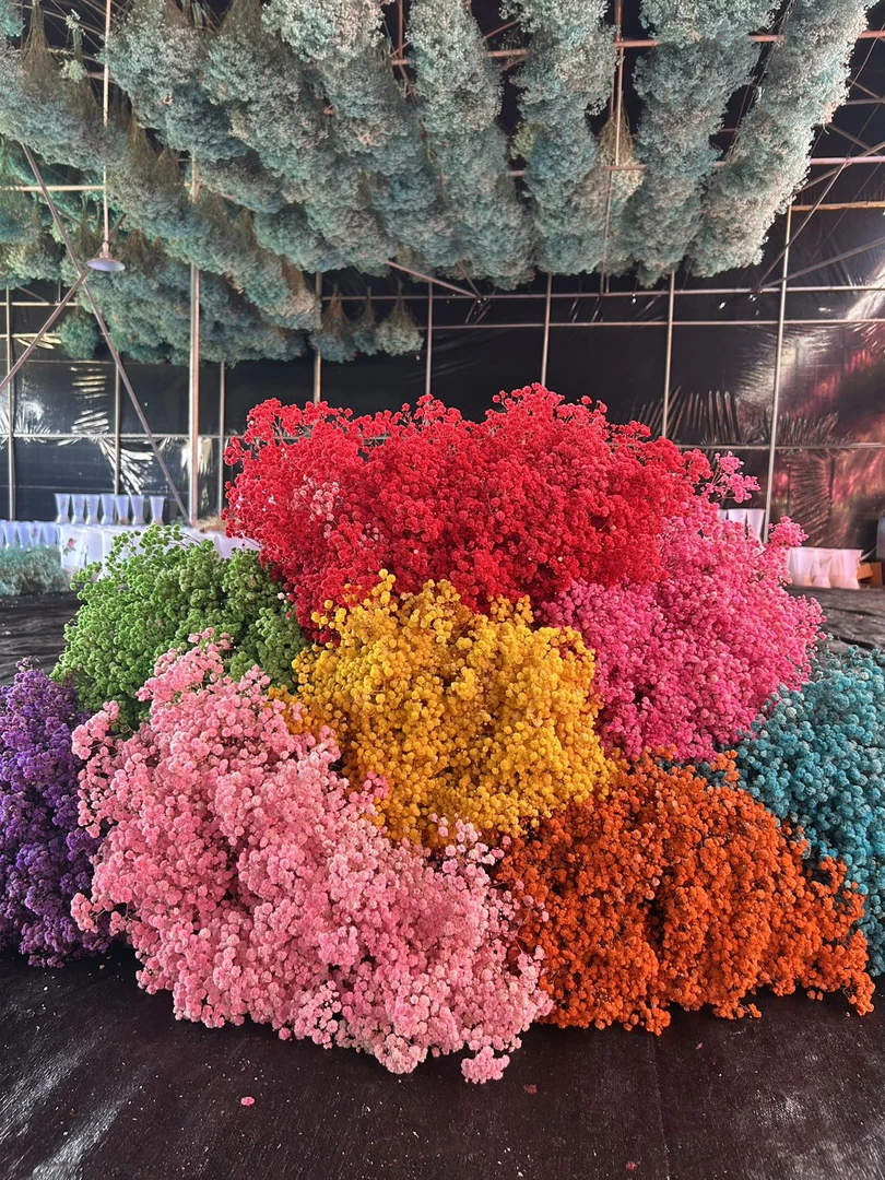 永生花满天星DIY花材干花家居配花材料装饰团扇有钱花束送老师