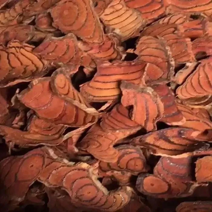 鸡血藤//云南边境大集现收