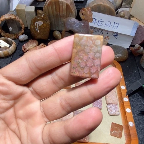 【闪购商品】硅化玉颈饰未镶嵌