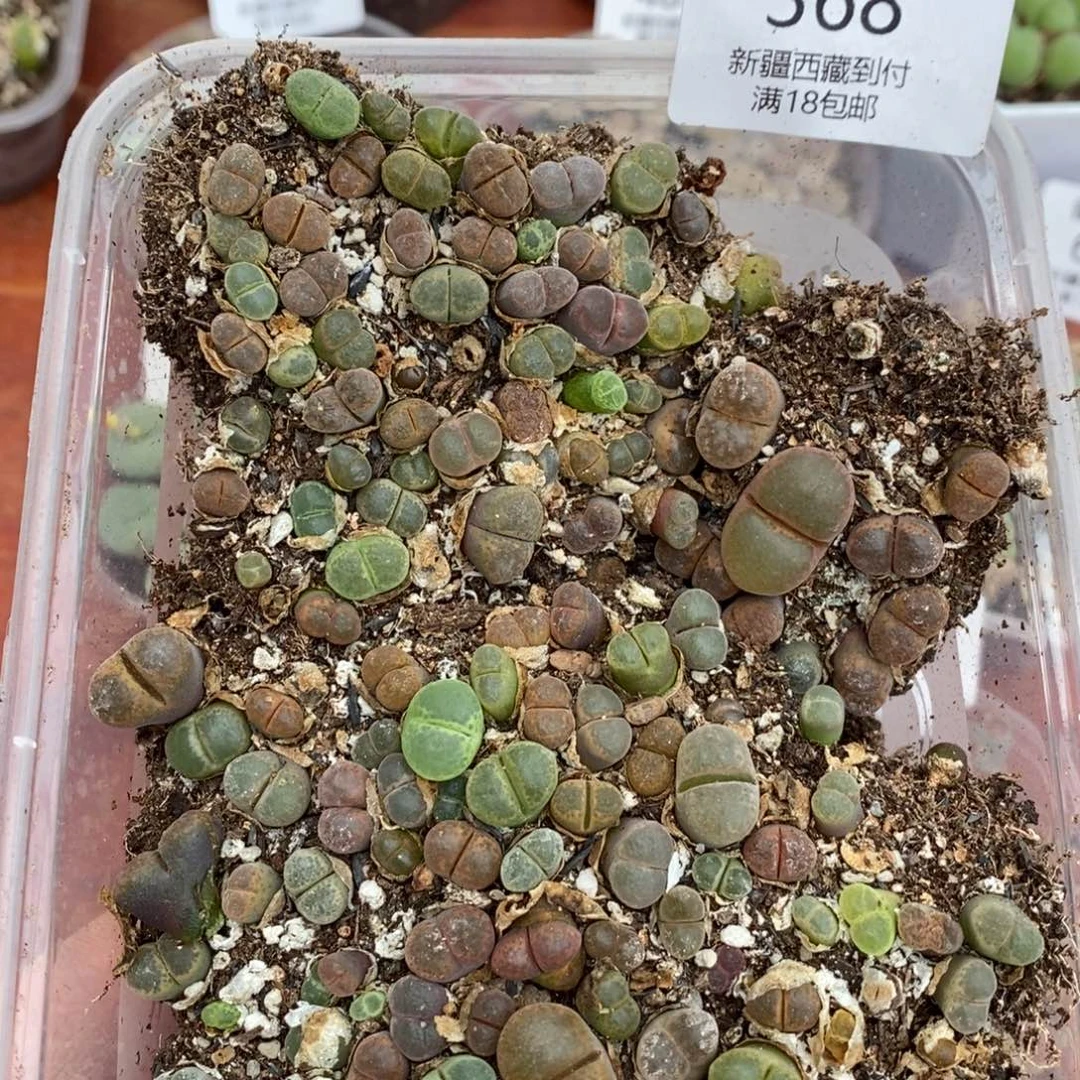 感谢您的支持，00368