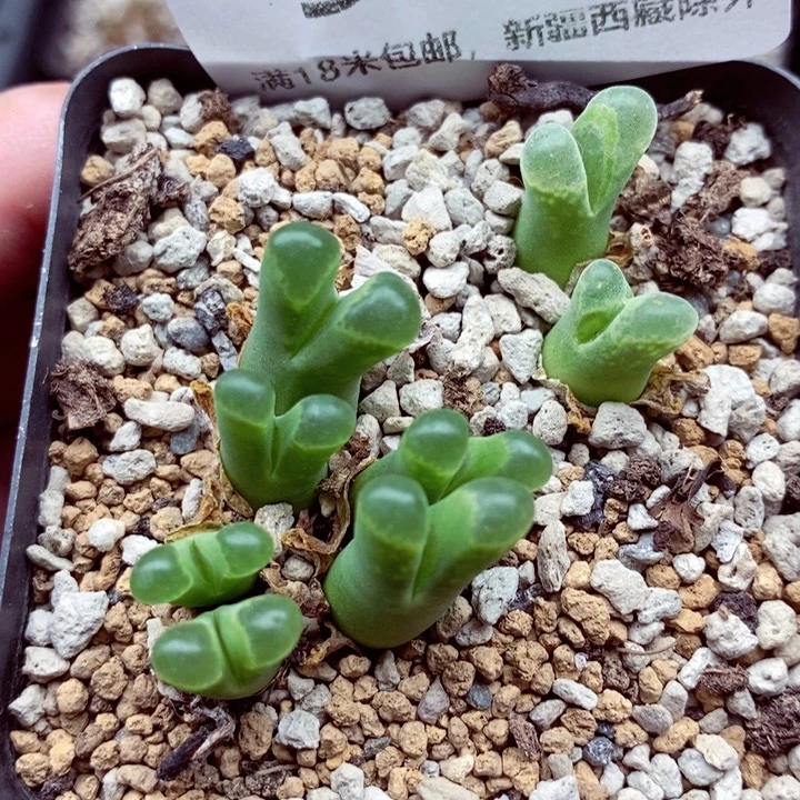 3553。