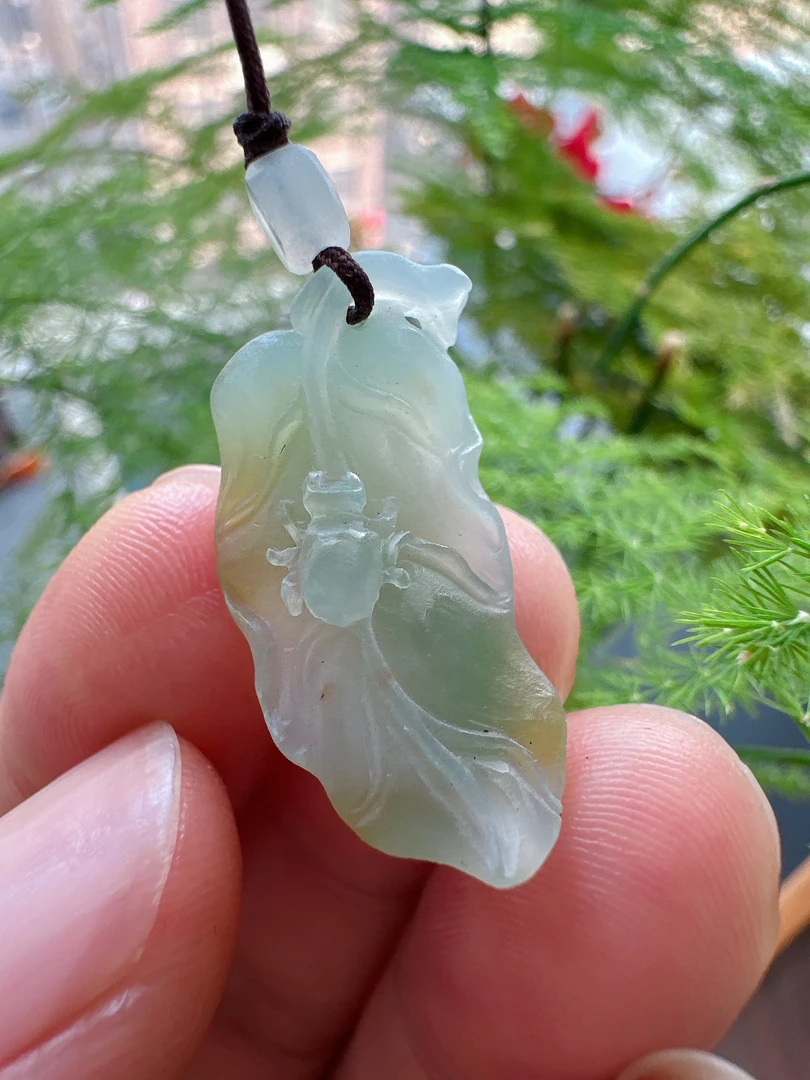 天然A货缅甸翡翠品质珠宝冰种叶子毛货未抛光