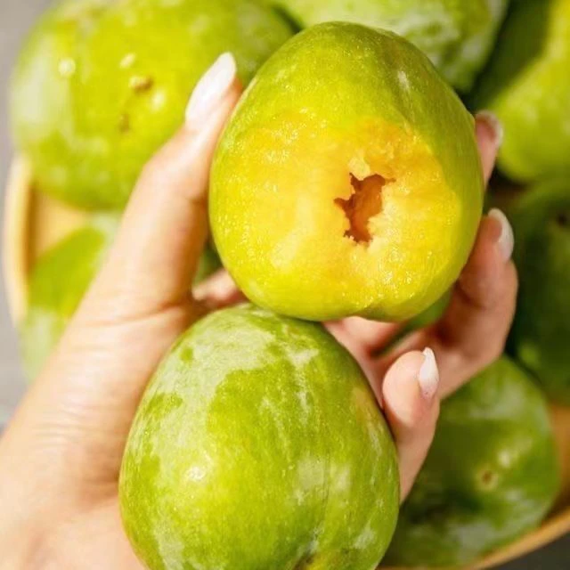 正宗福建闽北油奈新鲜水果脱骨李蜂糖李子