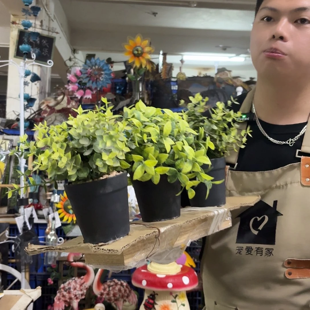 核桃木/黑胡桃（胡桃木）