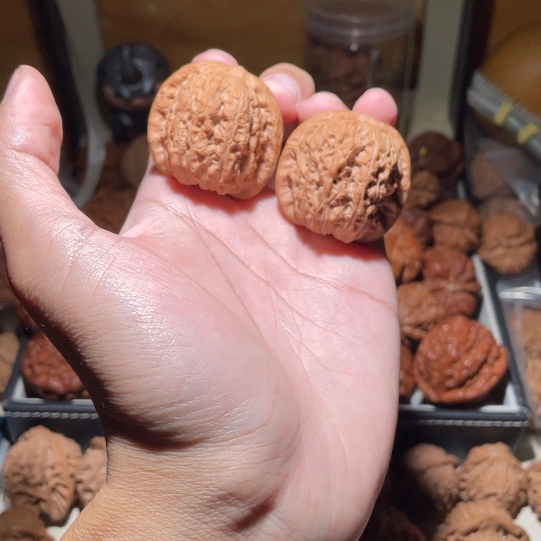 H***o38尺寸全品无修血麒麟