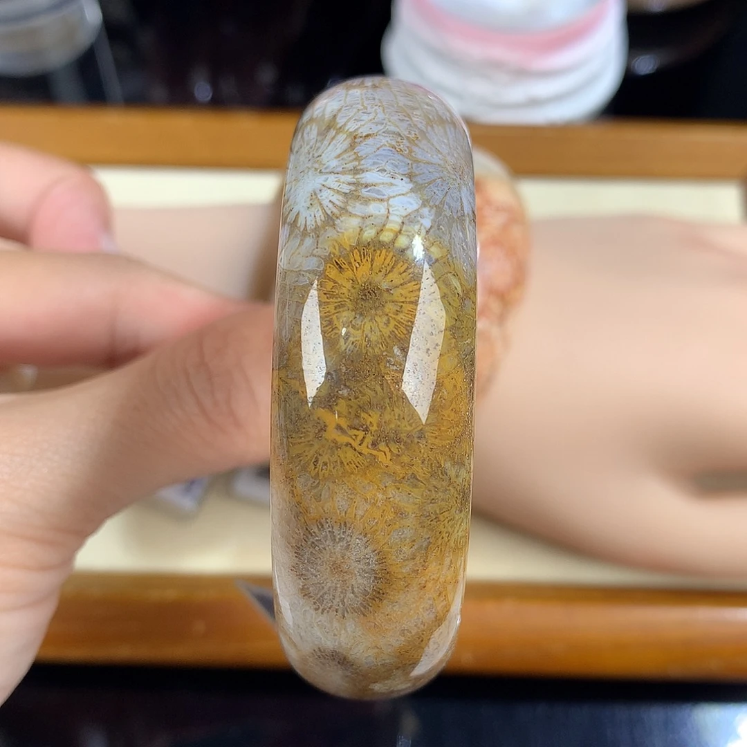 吊坠(赠链)未镶嵌硅化珊瑚（珊瑚玉）25号大花55圈口