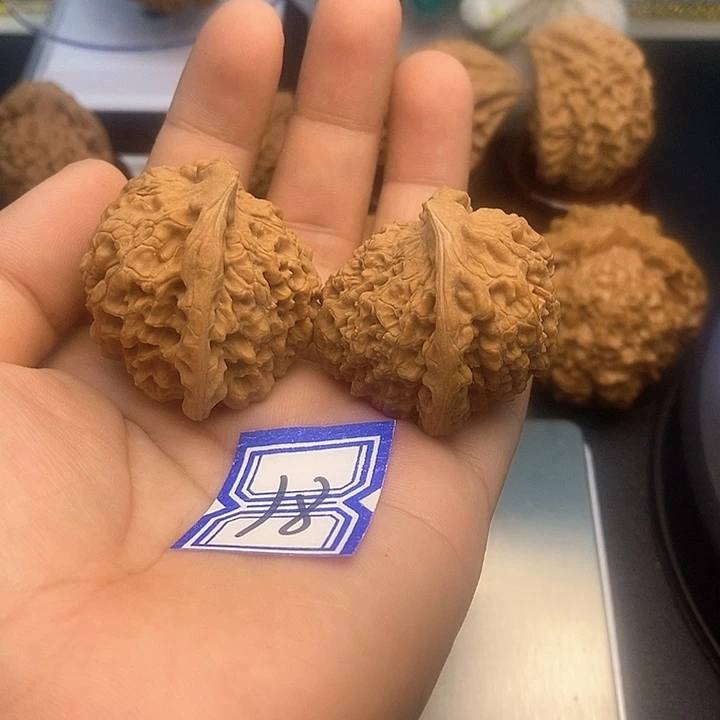 把件文玩核桃40蛇头