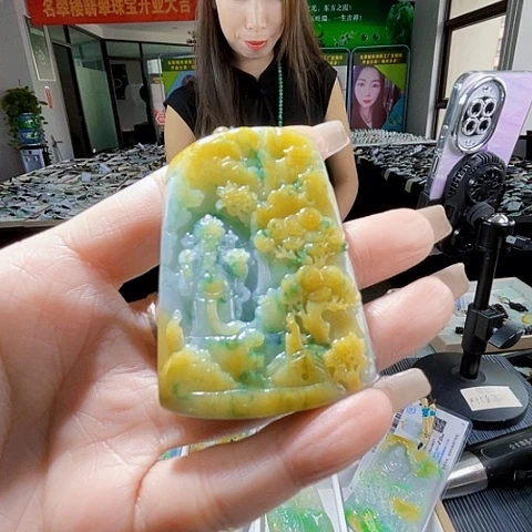 颈饰未镶嵌翡翠一个