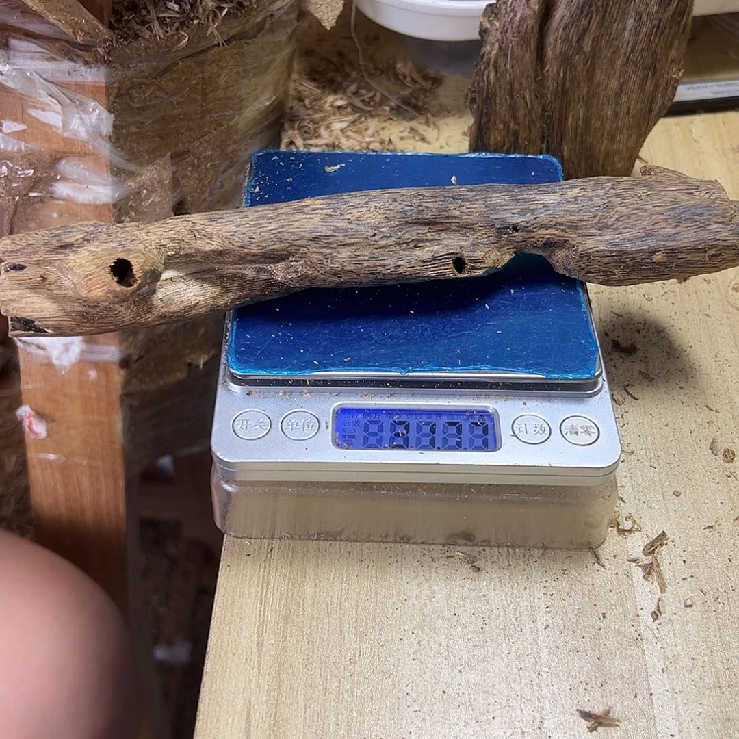 香料绿奇楠虫漏31克白棋