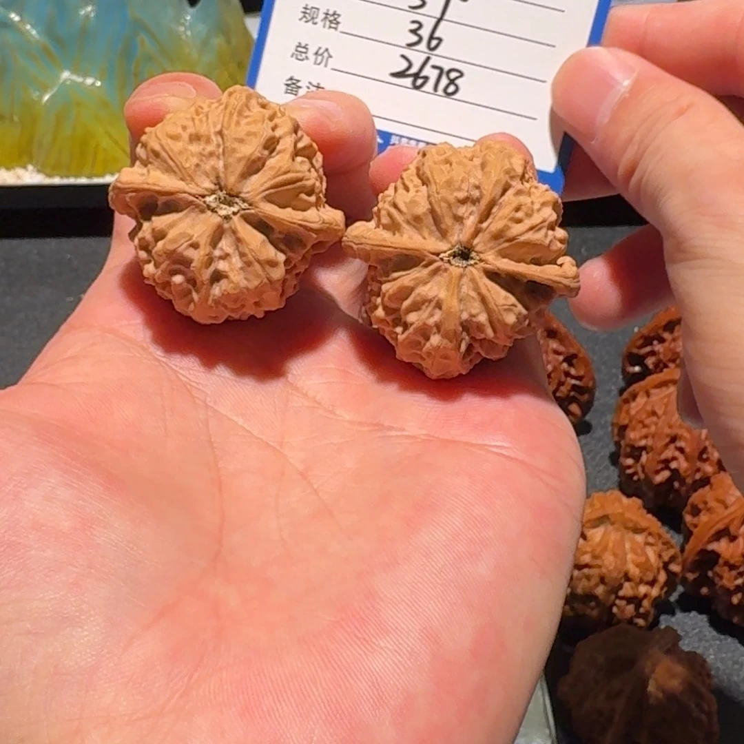 登***常沈阳鸡心编号57精品