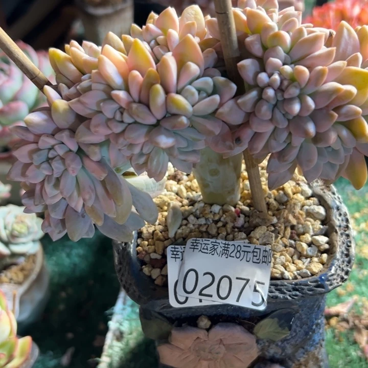 幸运的是我没有遇到过这样