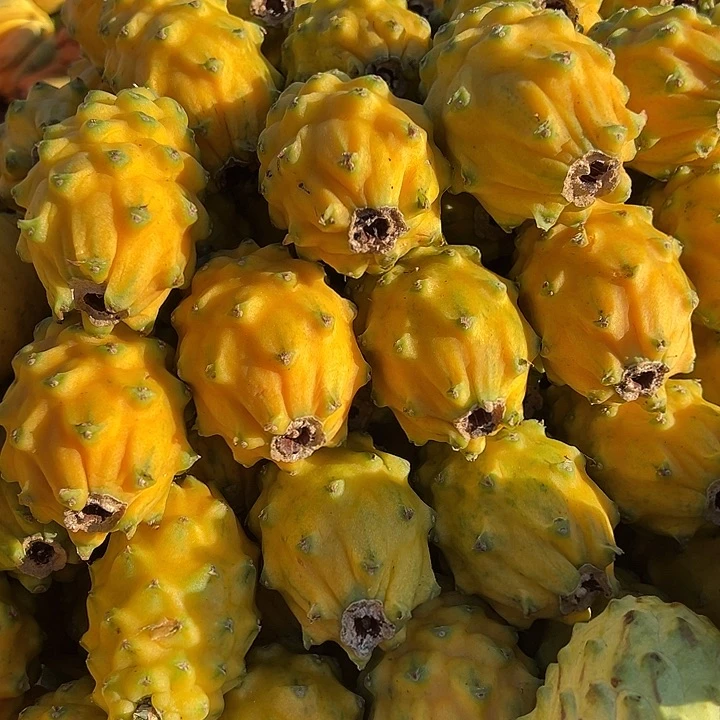 中国大陆燕窝果3斤