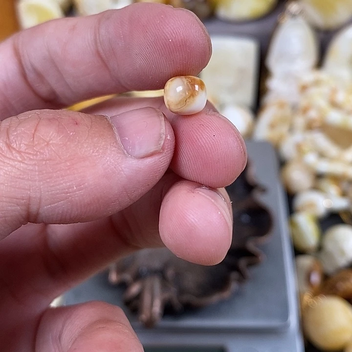 琥珀裸石未镶嵌我