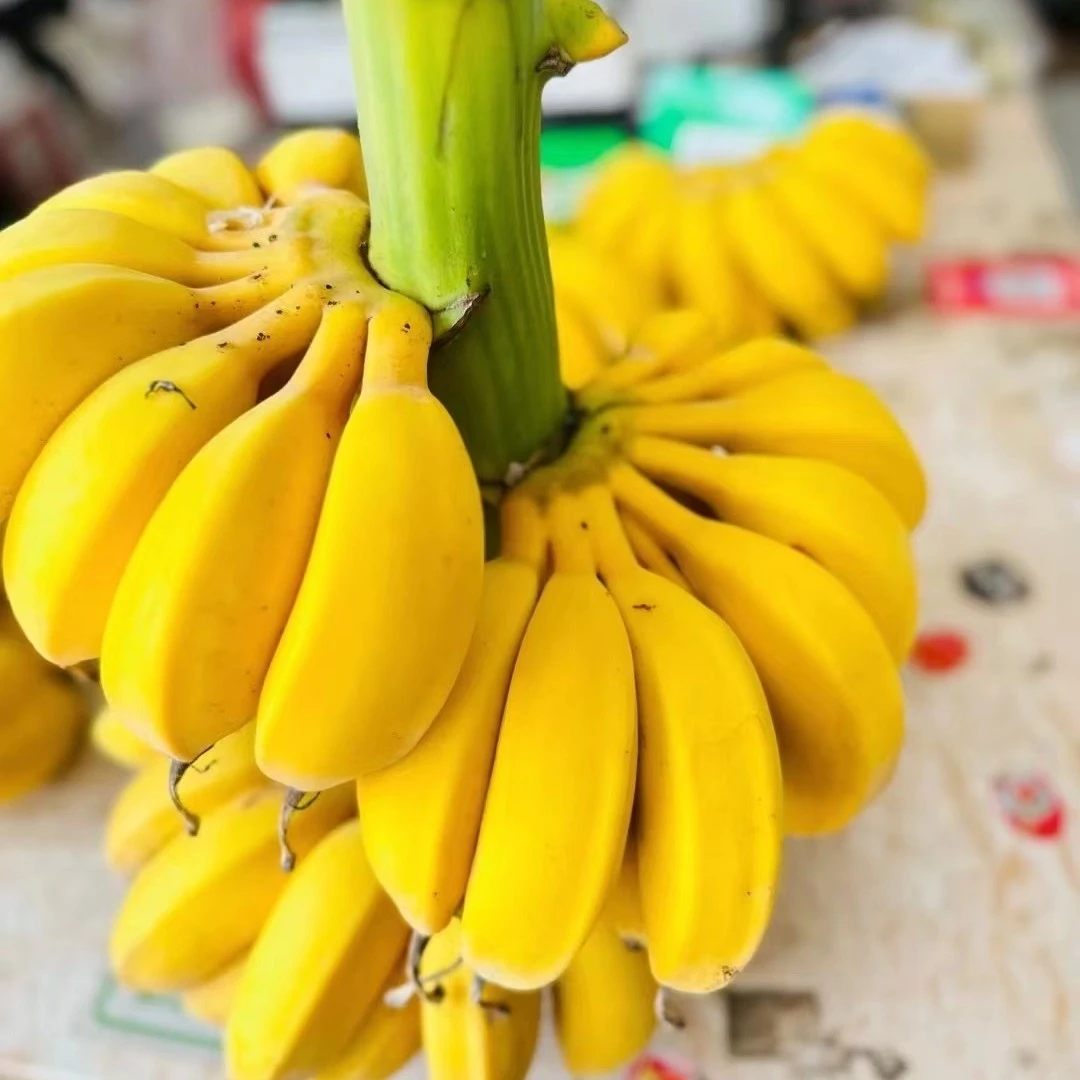 香蕉 苹果蕉 2斤4-5根（苹果香蕉容易花皮，介意勿拍）