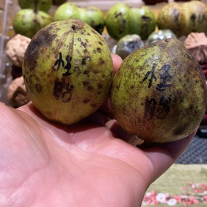 桃核吊坠核桃核桃