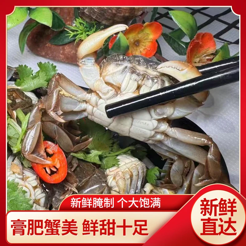 活蟹现腌醉蟹一斤发财蟹即食海鲜蟹块生腌海鲜生腌新口味超赞