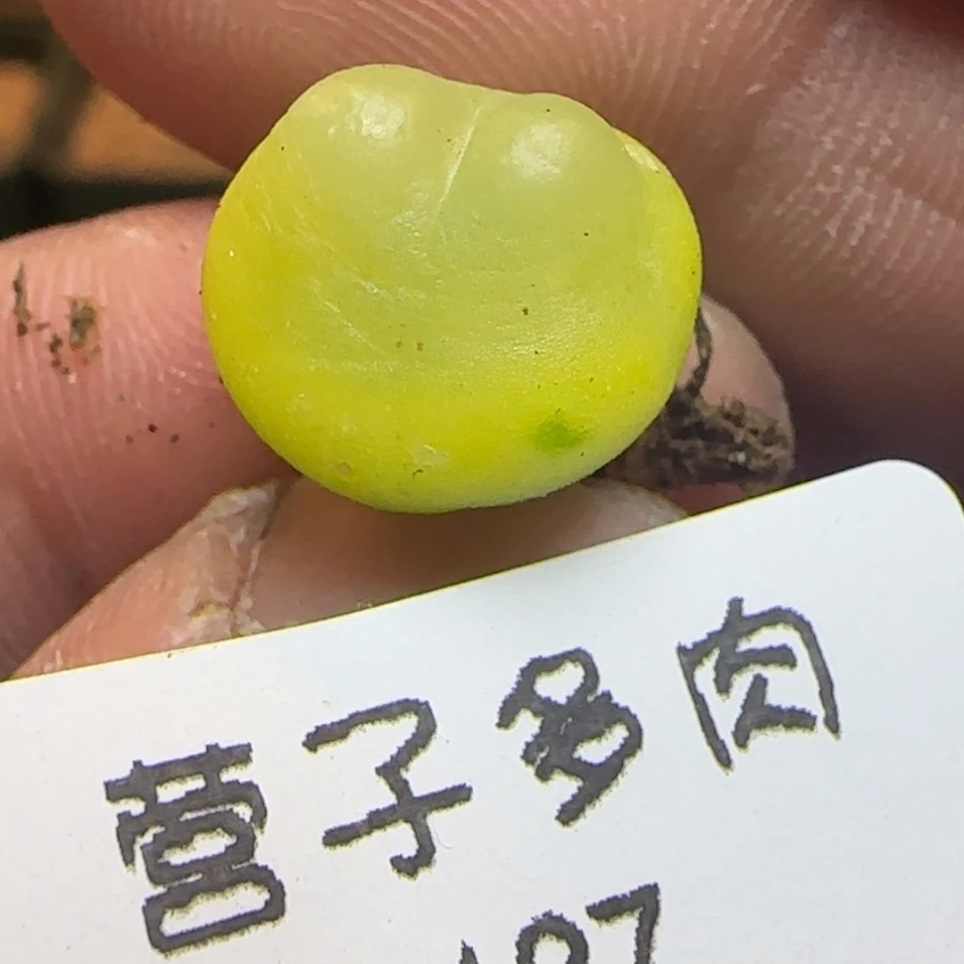 拉登1.3。       127。