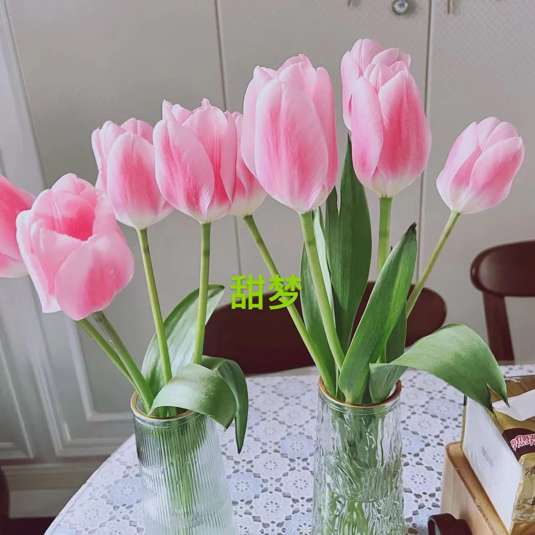 浅粉郁金香甜梦粗杆大花苞