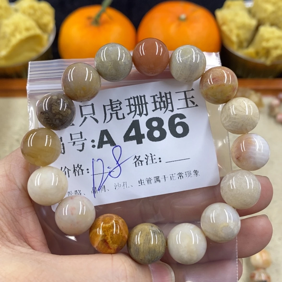 硅化珊瑚（珊瑚玉）1未镶嵌m**i
