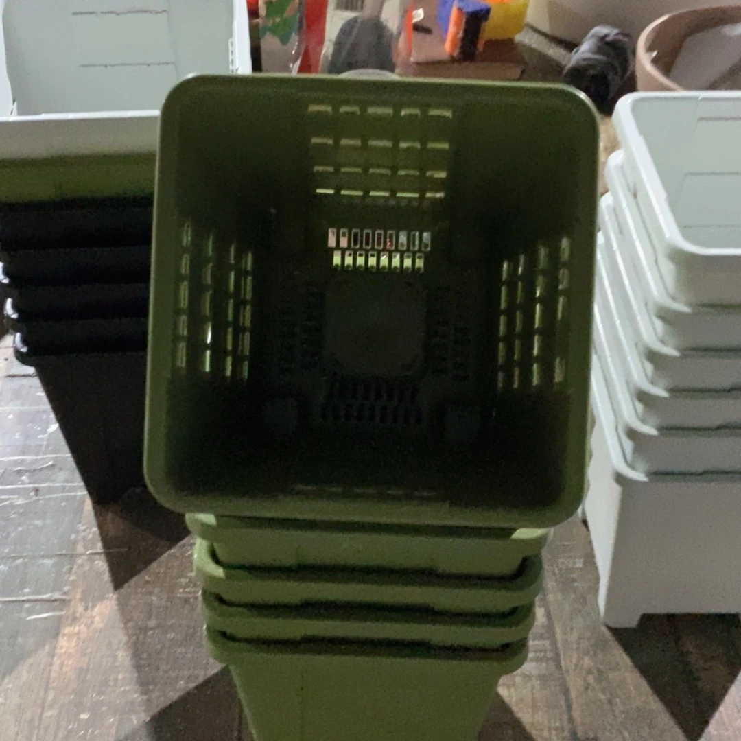 树脂6个16口果绿方无托