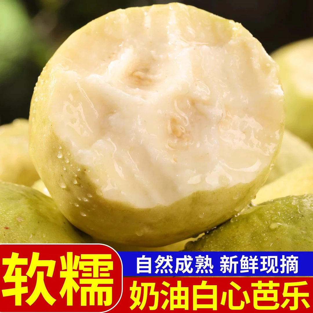 <精品>广西正宗软心奶油白心番石榴新鲜冰淇淋低糖孕妇水果