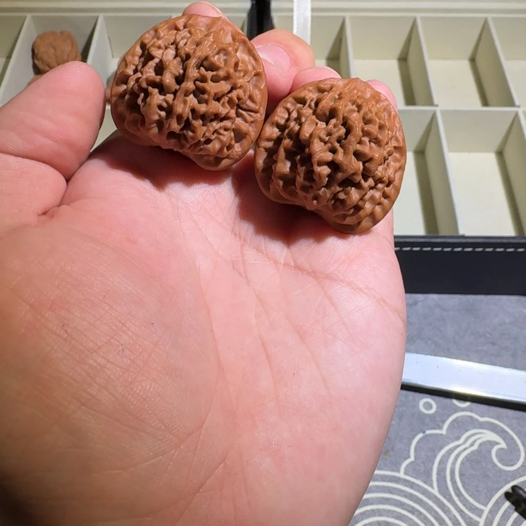 大叶紫檀（黑酸枝木类）