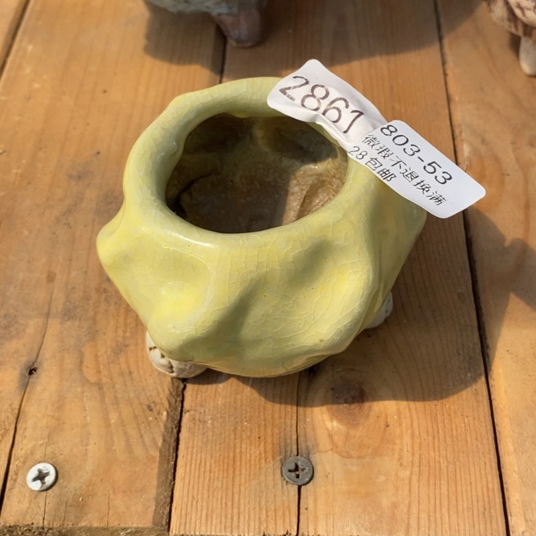 53号多肉盆口径4小可爱