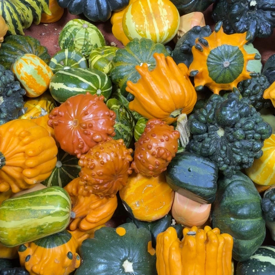 b***u饿哦饿哦饿哦饿哦饿哦