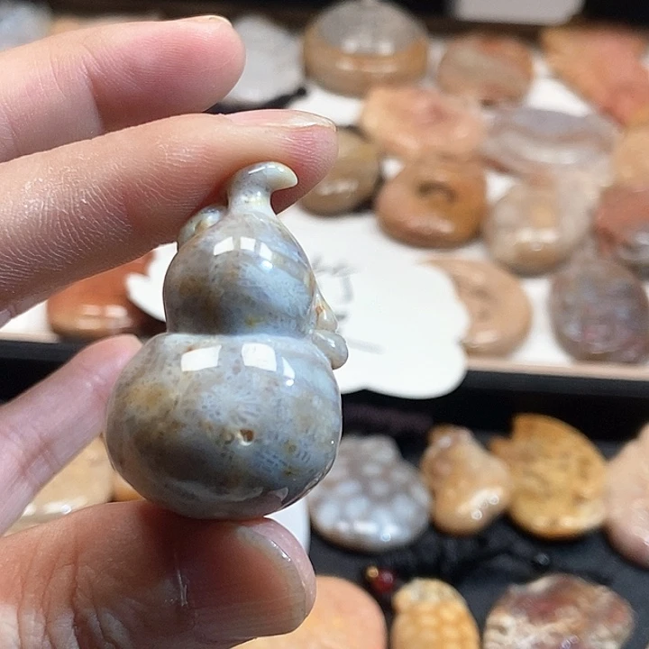 颈饰未镶嵌硅化珊瑚（珊瑚玉）