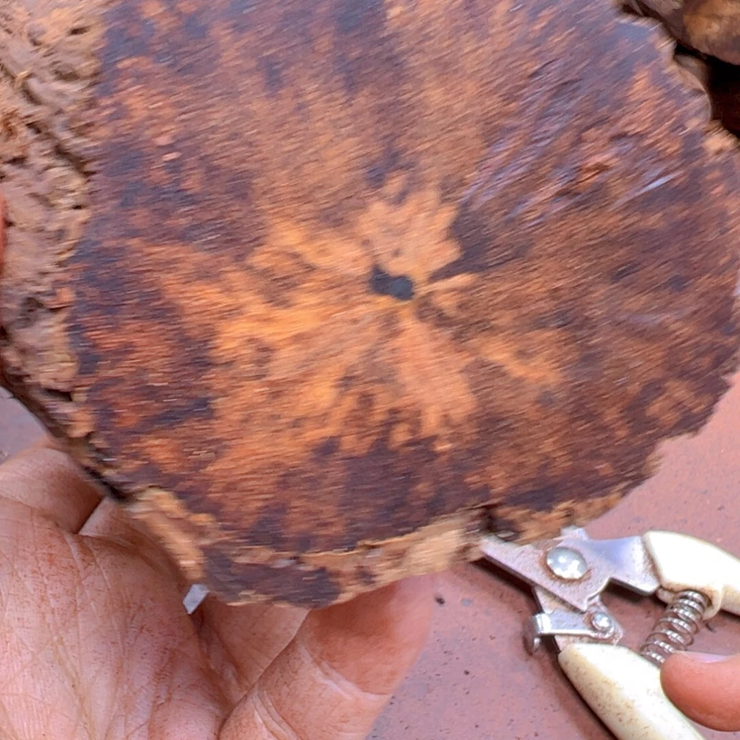 木登**远降真香定制不退不换1.6