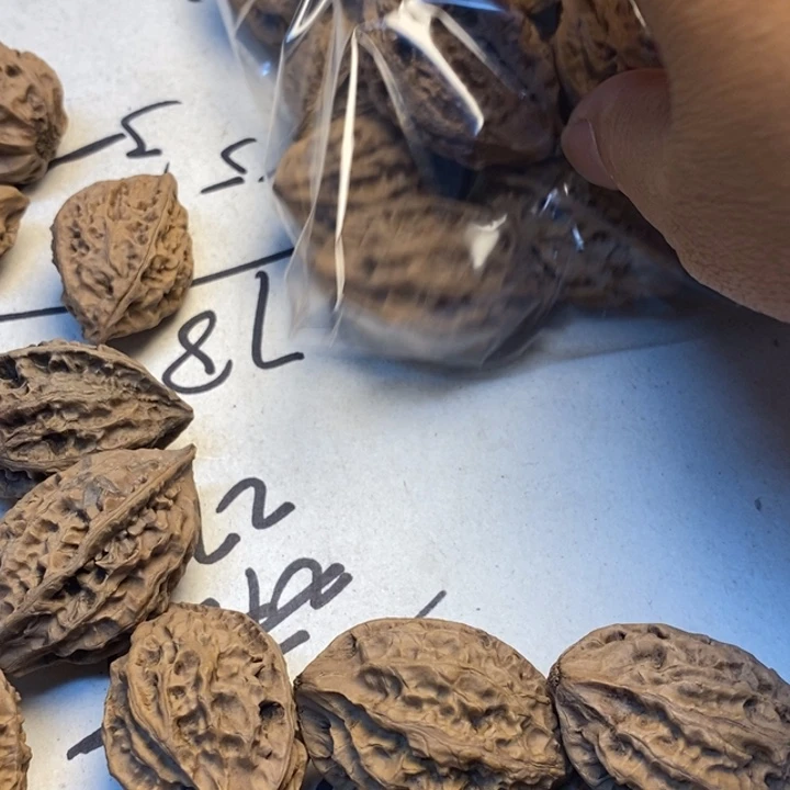 和***下文玩核桃吊坠娜姐233