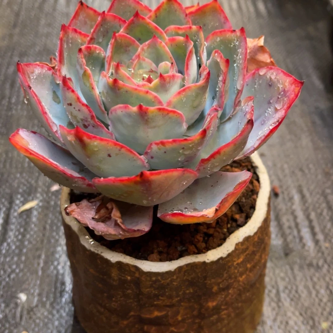 懿*一373737383886866886