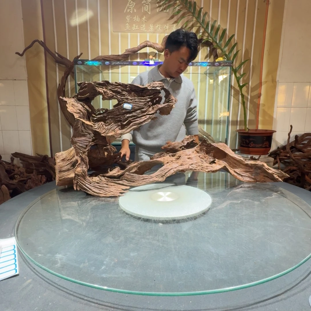 钰***药一物一拍鱼缸造景