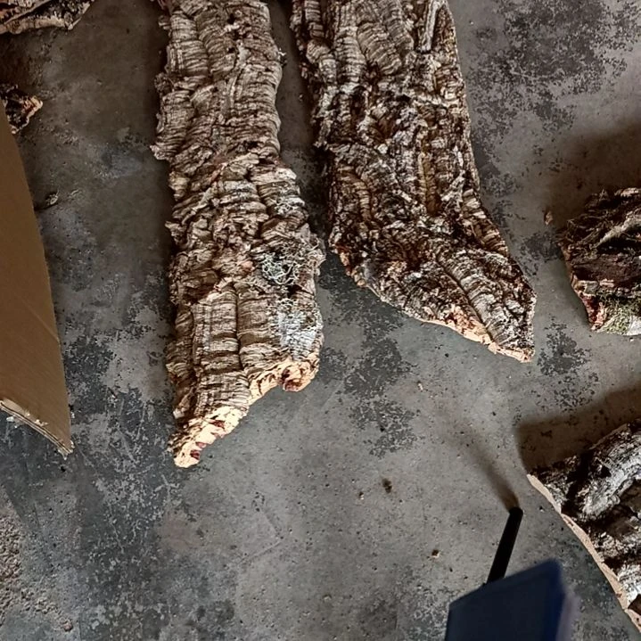 木一物一拍一物一发