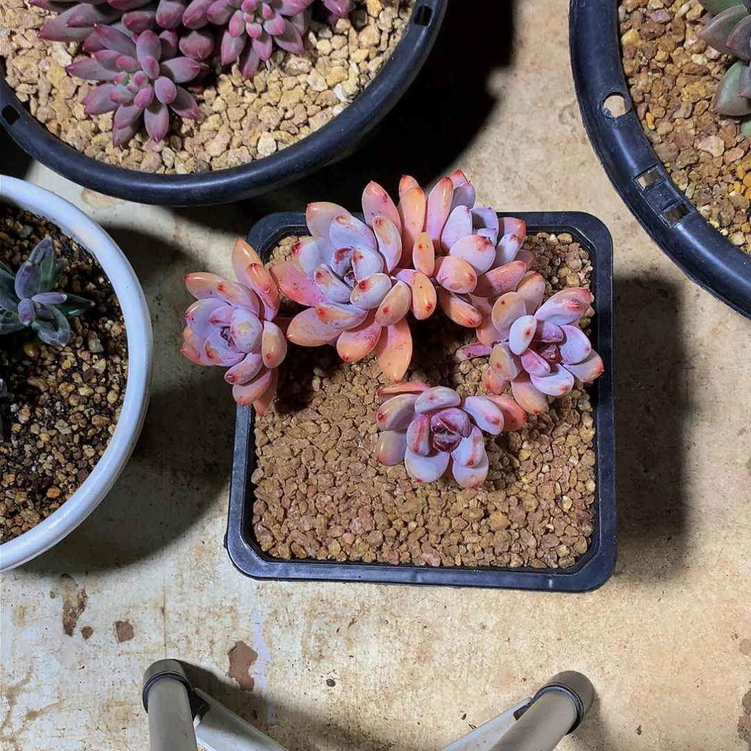 海*源哈哈哈哈哈