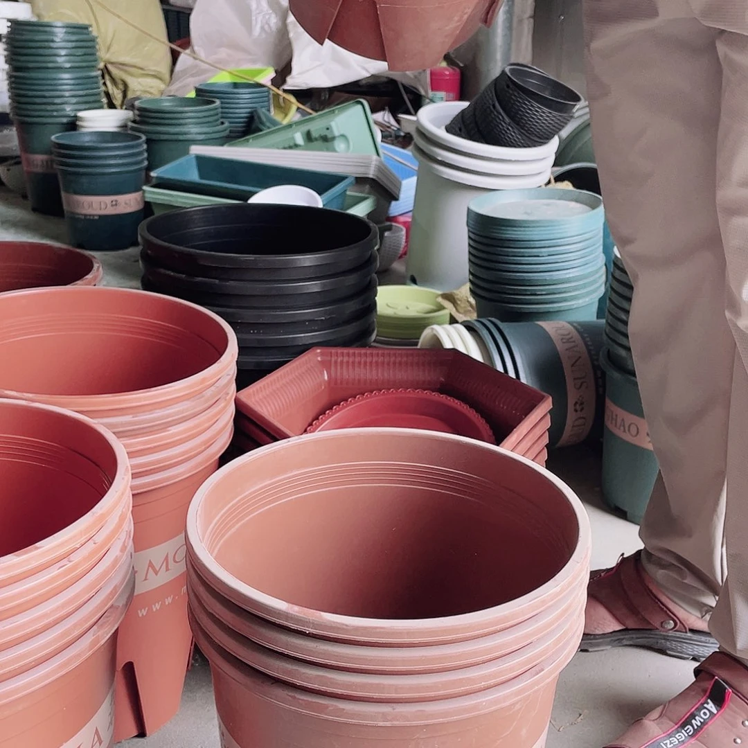 编号是4247的编号