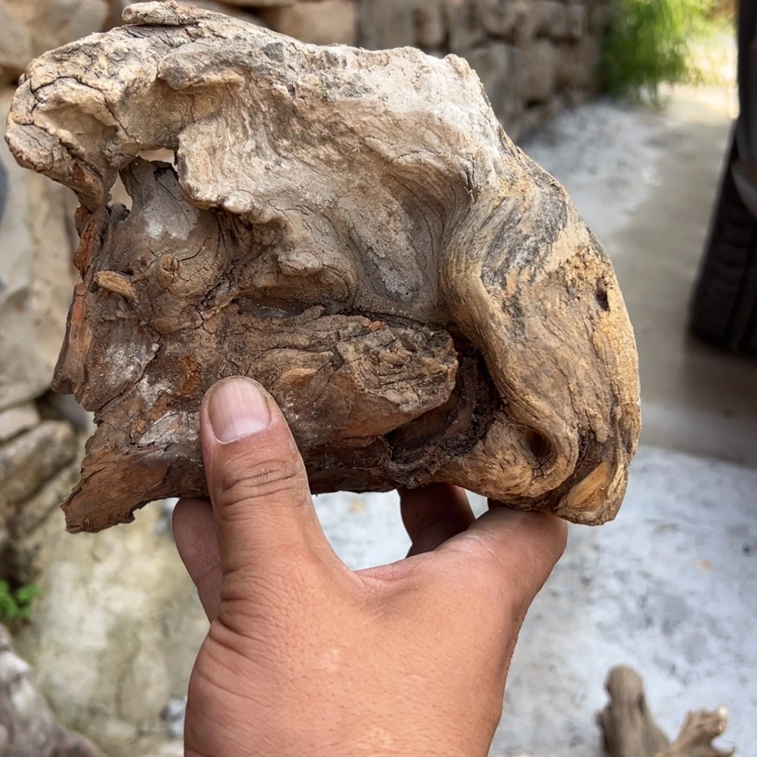 a***c柏木（崖柏）文玩根雕