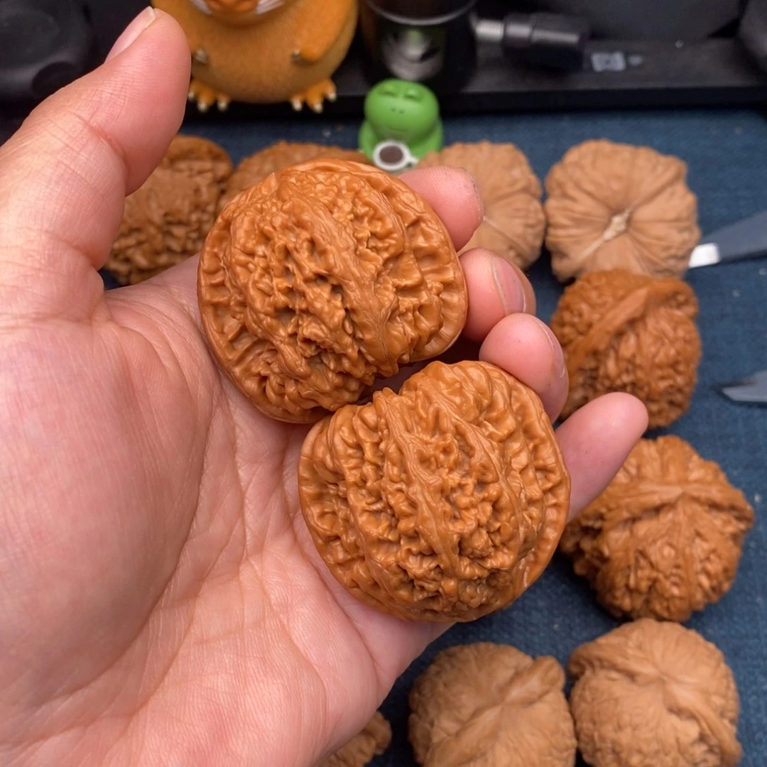 文玩核桃把件42红皮球筋