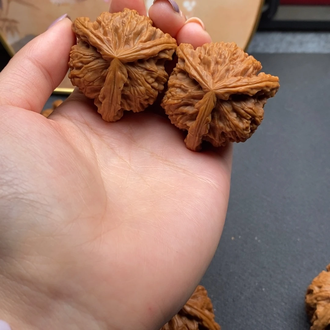 阿*白狮子11111111111