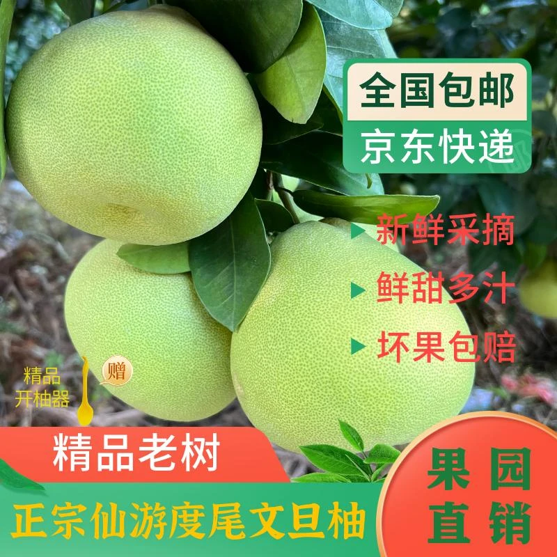 【京东包邮】30斤福建度尾文旦柚老树文旦柚福建柚子应季孕妇水果